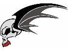  Skull Winger G D 1 Decal