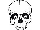  Skulls Eye Ball 0 0 2 Decal