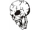  Skulls Unique 0 2 0 8 0 7 Decal