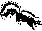  Skunk 1 3 8 V A 1 Decal