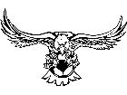  Soccer Falcon Eagle M B 1 Decal
