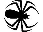 Spider Design Decal