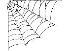  Spider Web Corner Decal