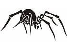  Spider 0 6 9 Decal