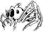  Spider M B 1 Decal