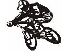  Sports B M X 1 1 3 3 D G Decal