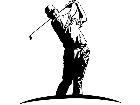  Sports Golfer D R P A 1 Decal