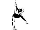  Sports Gymnast P A 1 Decal