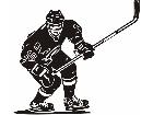  Sports Hockey 0 1 P A 1 Decal