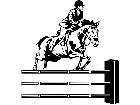  Sports Horse Jumping D R P A 1 Decal