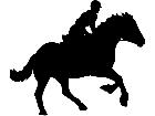  Sports Horseand Rider 0 1 P A 1 Decal