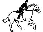  Sports Horseand Rider 0 3 P A 1 Decal