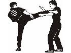  Sports Karate 0 1 P A 1 Decal