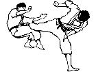  Sports Karate 0 2 P A 1 Decal