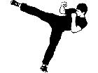  Sports Karate 0 5 P A 1 Decal