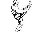  Sports Karate Kick M G P A 1 Decal