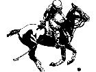  Sports Polo Player P A 1 Decal