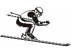  Sports Skier 0 1 P A 1 Decal