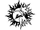  Sun Lady Decal