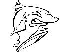  Surf Shark Decal