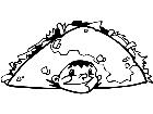  Taco Head Decal