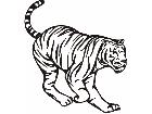  Tiger Animal Wild 0 0 1a Decal