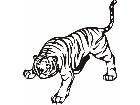  Tiger Animal Wild 0 1 0a Decal