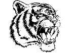  Tiger Head M B 1 Decal