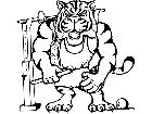  Tiger Jumper M B 1 Decal