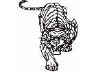  Tiger Prowling Decal