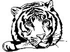  Tiger Rest Decal