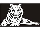  Tiger White Decal