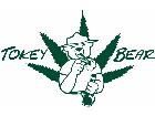  Tokey Bear Decal