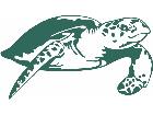  Turtle Sea Dive Decal