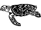  Turtle Sea Side Decal