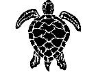  Turtle Sea Swim Decal