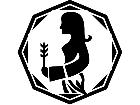  Virgo 1 2 A S 1 Decal