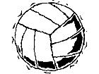  Volleyball 2 M B 1 Decal