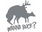  Wanna Buck Deers Sex Decal