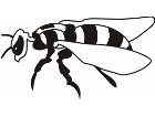  Wasp 0 7 7 Decal