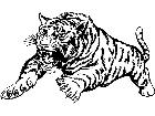  Wild Animals Attack Tiger M G P A 1 Decal