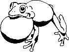  Wild Animals Frog 0 2 D H P A 1 Decal