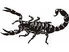  Wild Animals Scorpion P A 1 Decal