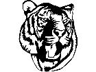  Wild Animals Tiger 0 1 D R P A 1 Decal