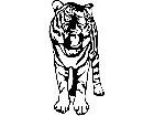  Wild Animals Tiger 0 2 D R P A 1 Decal