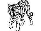  Wild Animals Tiger 0 3 D R P A 1 Decal