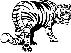  Wild Animals Tiger M G P A 1 Decal