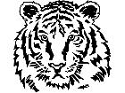  Wild Animals Tiger P A 1 Decal