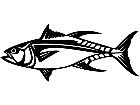  Yellow Fin Tuna Fish 1 4 1 V A 1 Decal