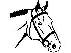 horse Head English 1 4 3 V A 1 Decal